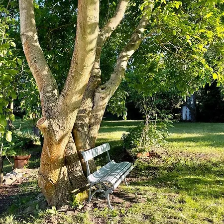 Holiday home Silver Linden